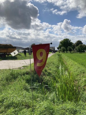 6 vwo boerengolf 2